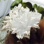 20140415-1.jpg
